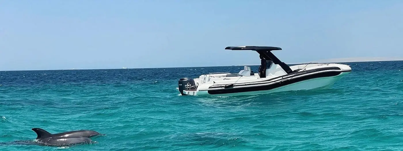 hula-hula-island-speedboat-4