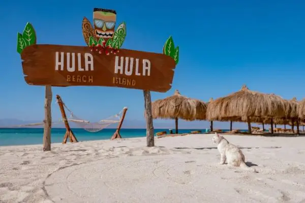 How do I get to Hula Hula Island hurghada